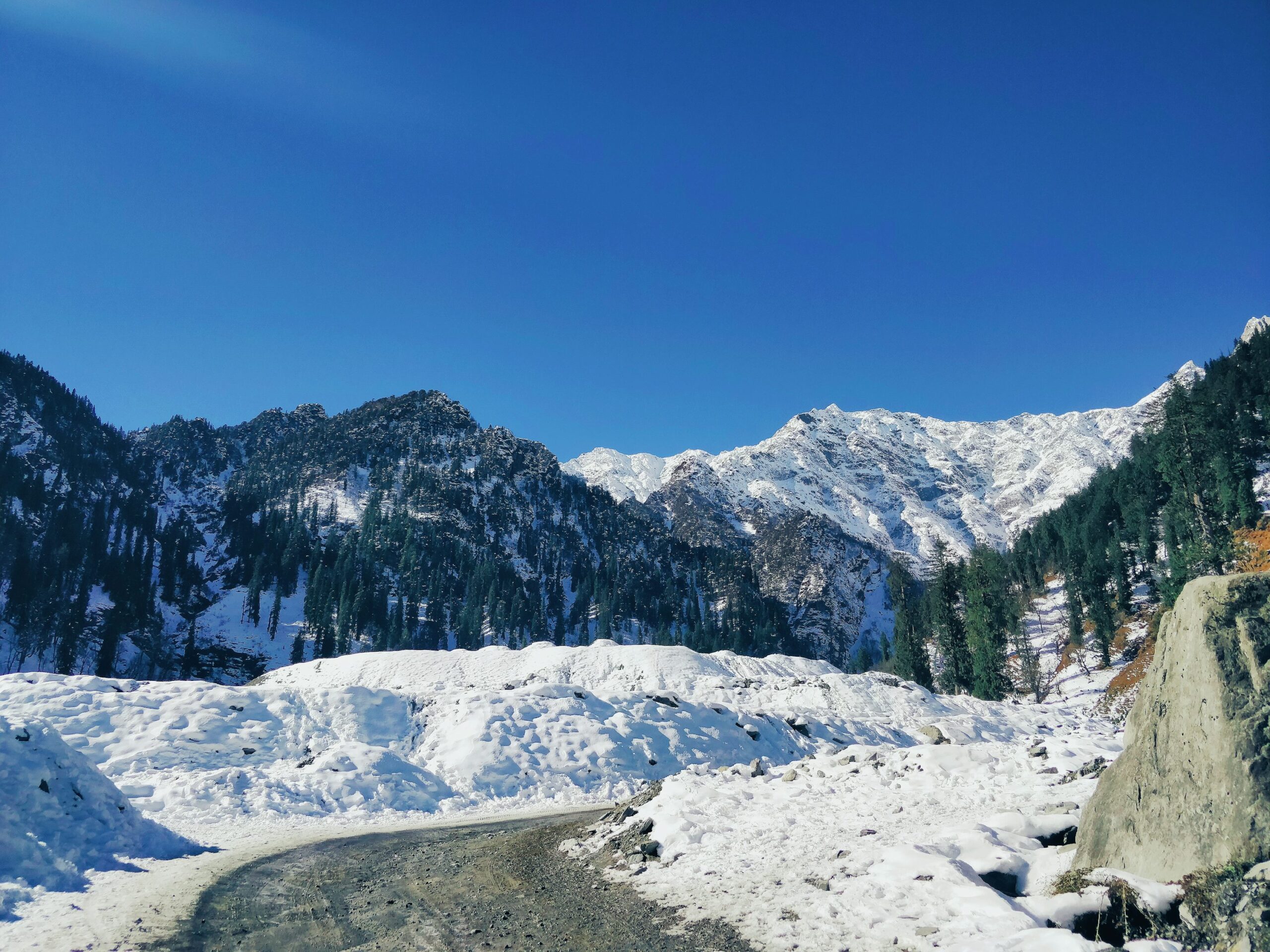 Delhi To Manali Cab